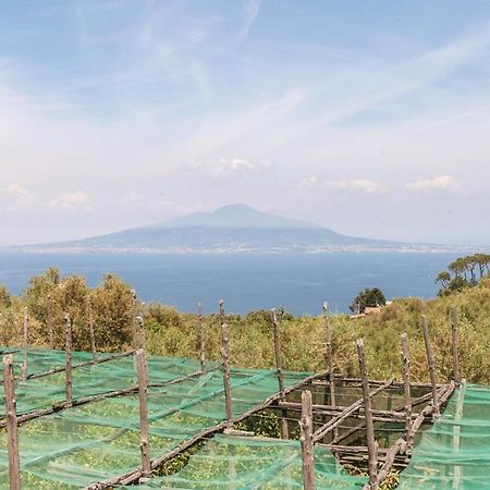 Villa La Limonaia Соренто Екстериор снимка
