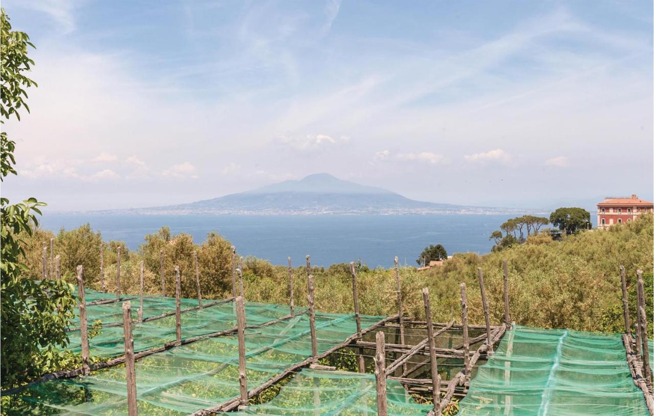 Villa La Limonaia Соренто Екстериор снимка